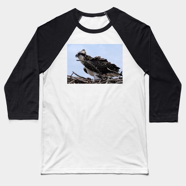 Young Osprey on Nest Baseball T-Shirt by tgass